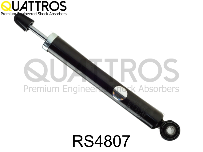 RS4807