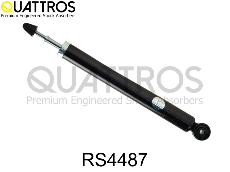 RS4487