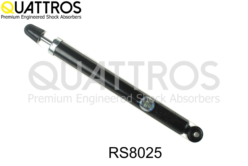 RS8025