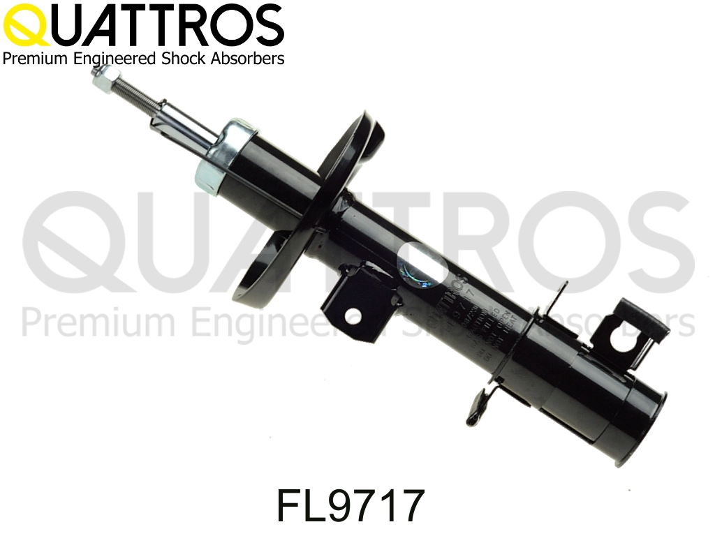 FL9717
