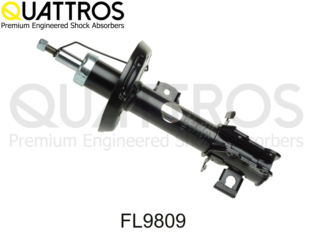 FL9809