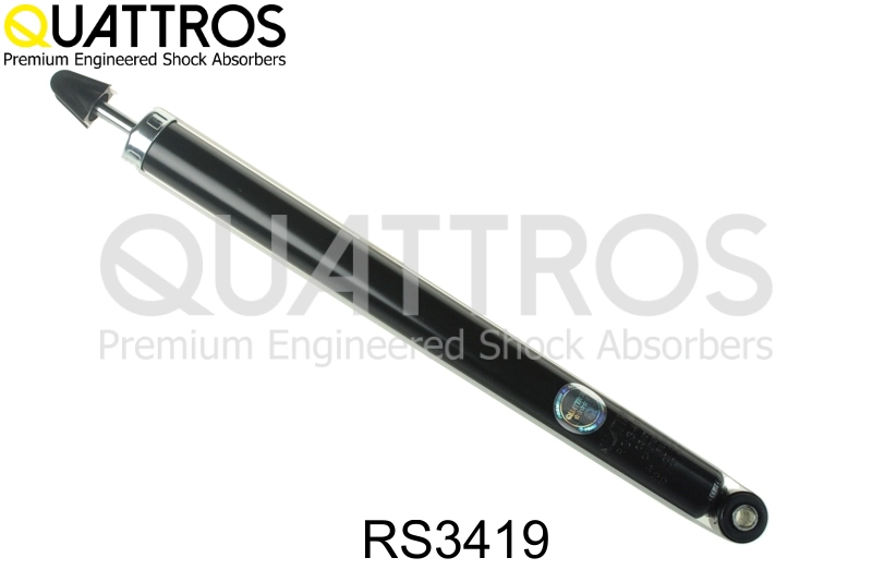 RS3419