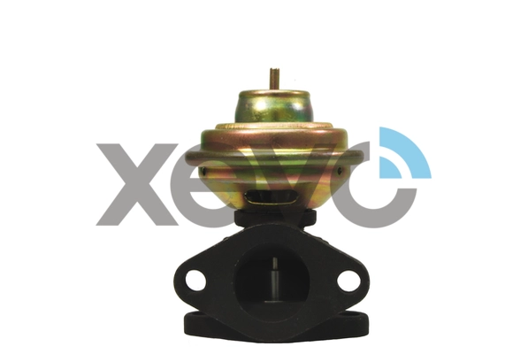XEG9249
