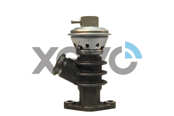 XEG9089