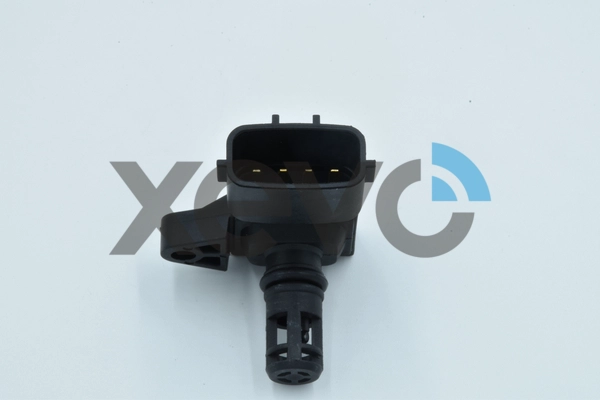XMS7172