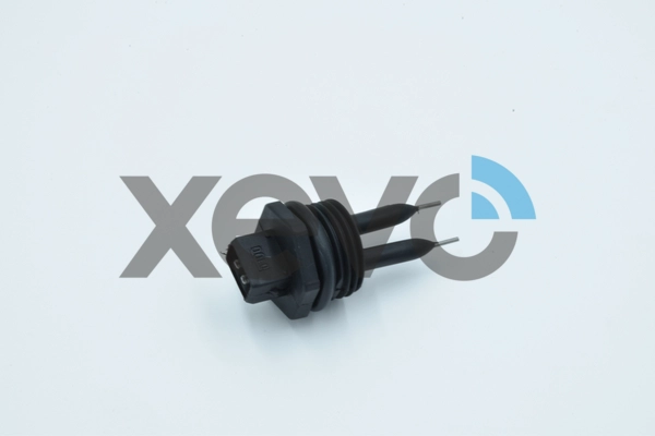 XVM0006