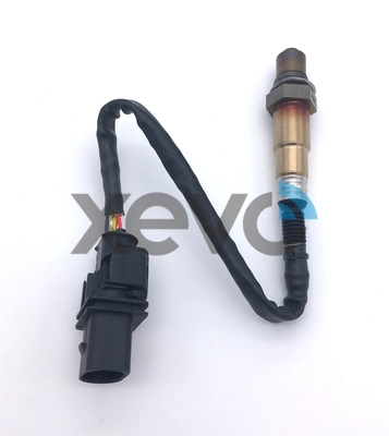XLS1557
