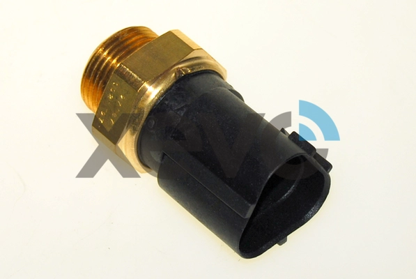 XTS7719