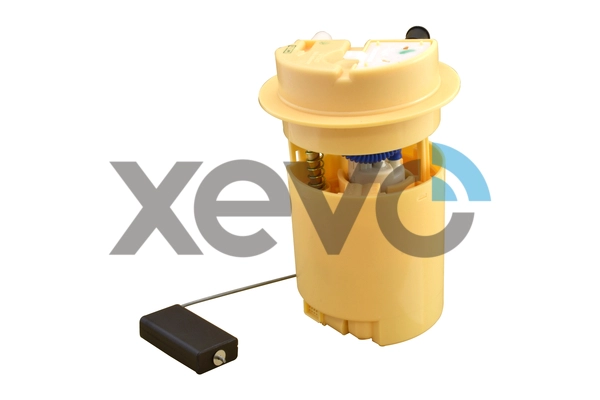 XFP8081