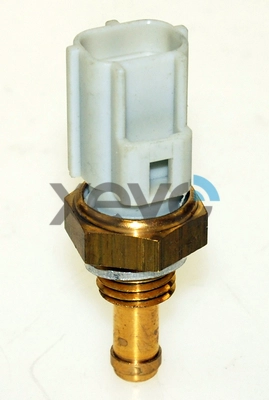 XTS7741