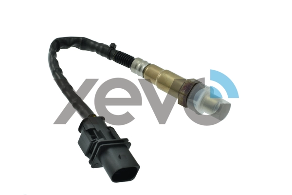 XLS1261