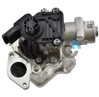 XEG9204