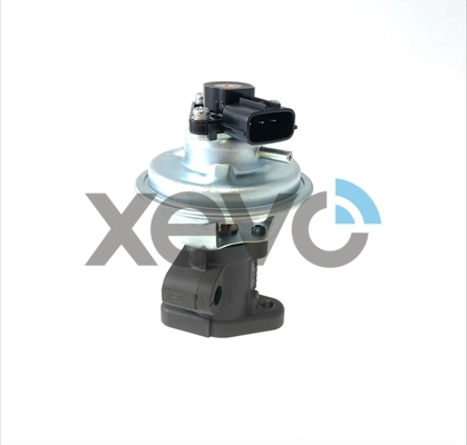XEG9397