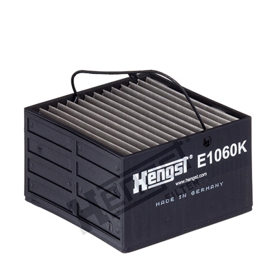 E1060K