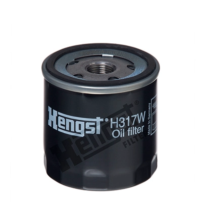 H317W