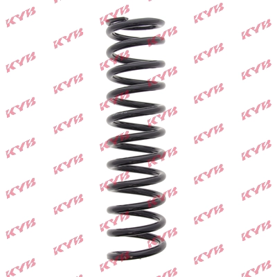 RD1101