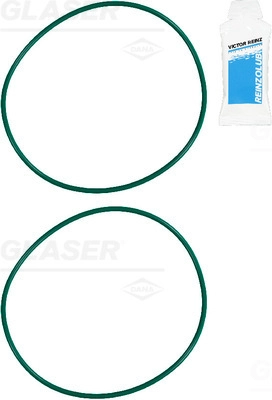 R38556-00