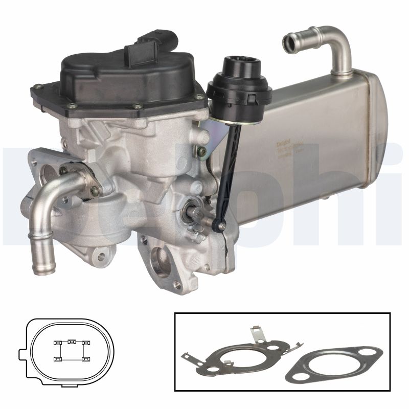 EG10576-12B1