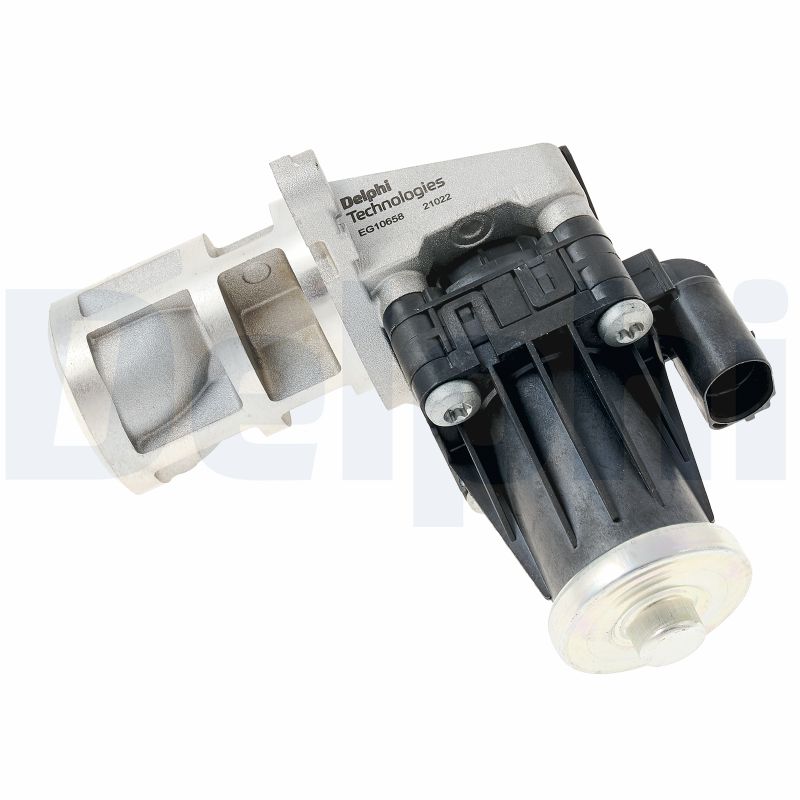 EG10658-12B1
