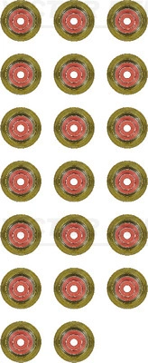 55183812 (20x)